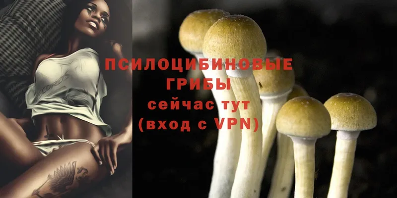 Галлюциногенные грибы Magic Shrooms  Асбест 